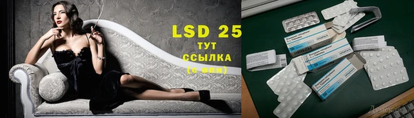 хмурый Алзамай