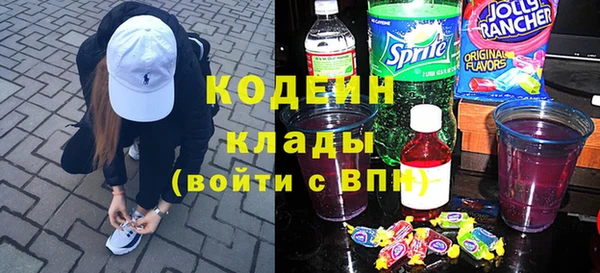 хмурый Алзамай