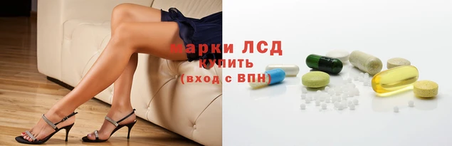 apvp Алексин