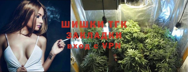 хмурый Алзамай